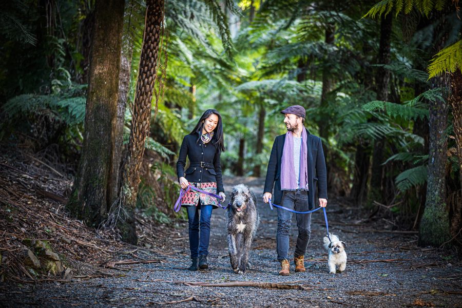 A couple walking with two dogs along a forest path