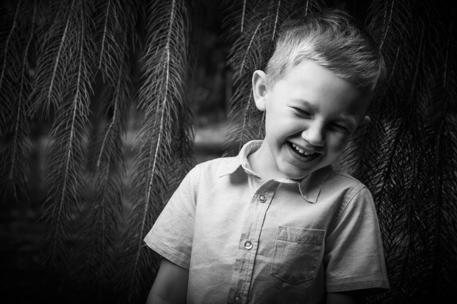 A child's portrait framed by weeping willow fronds