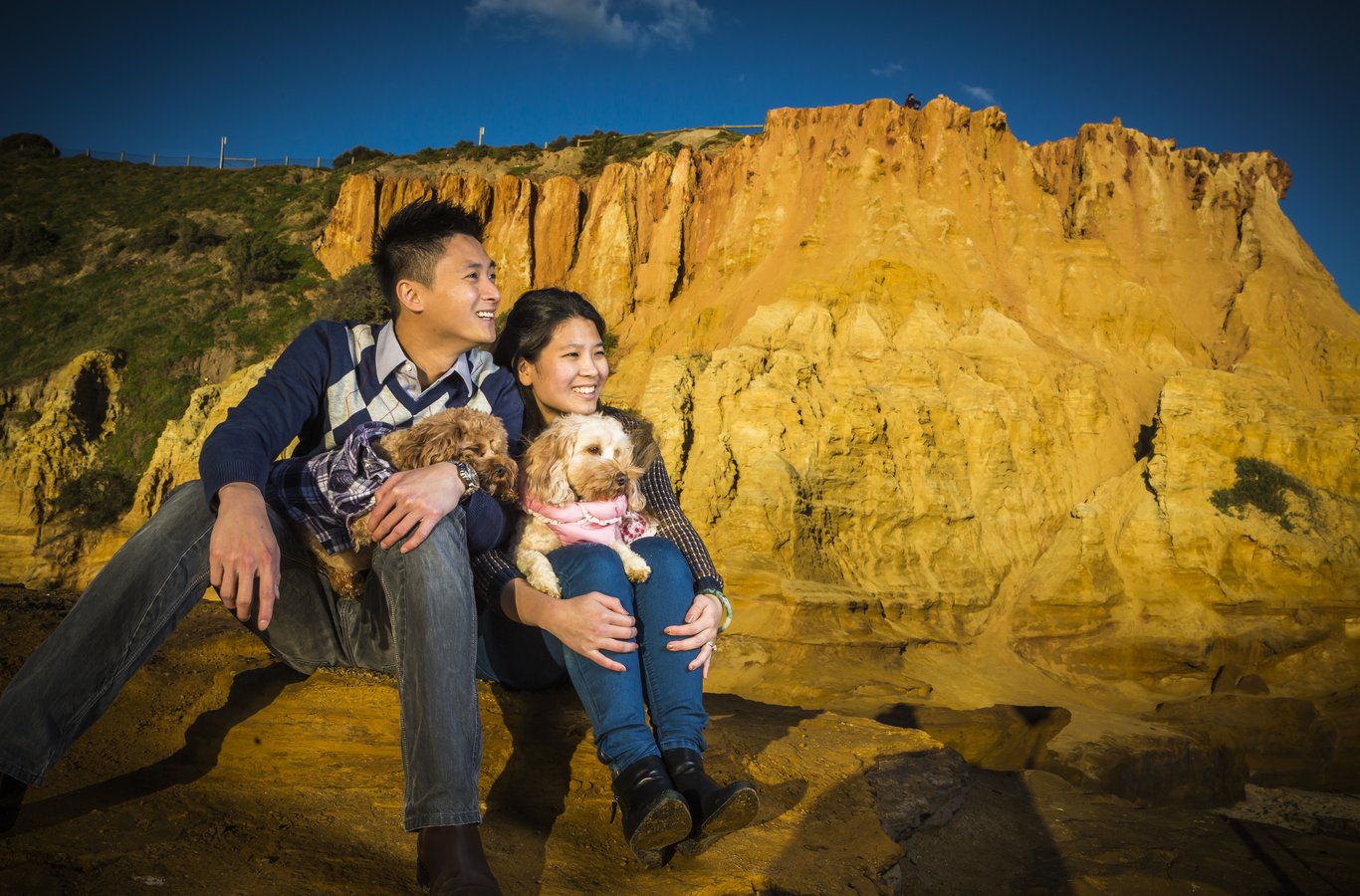 Couple with two dogs at golden cliff edge under blue sky; vibrant joy and striking location
