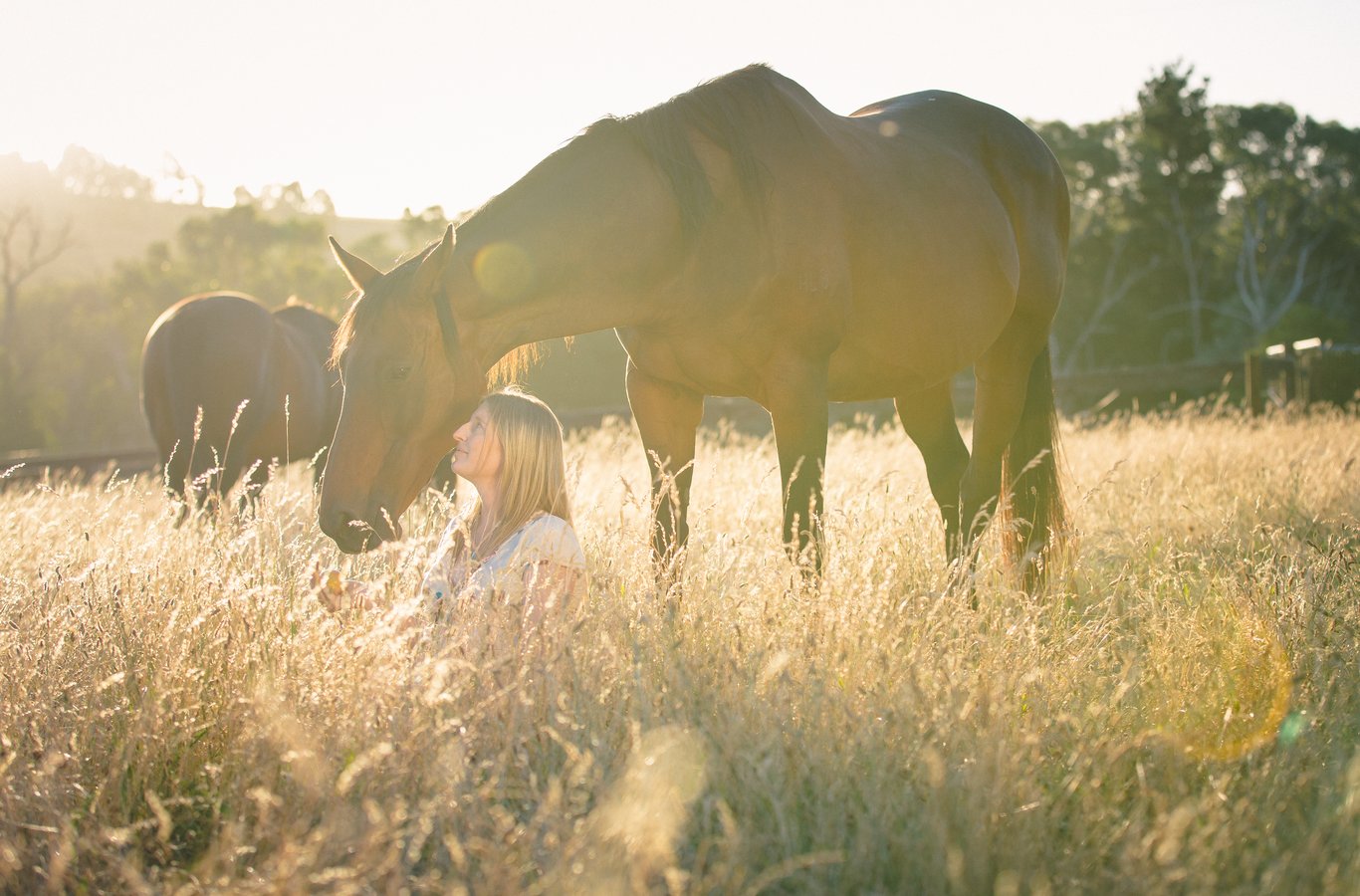 Child with horse in golden-hour field, intimate moment with professional backlighting and depth