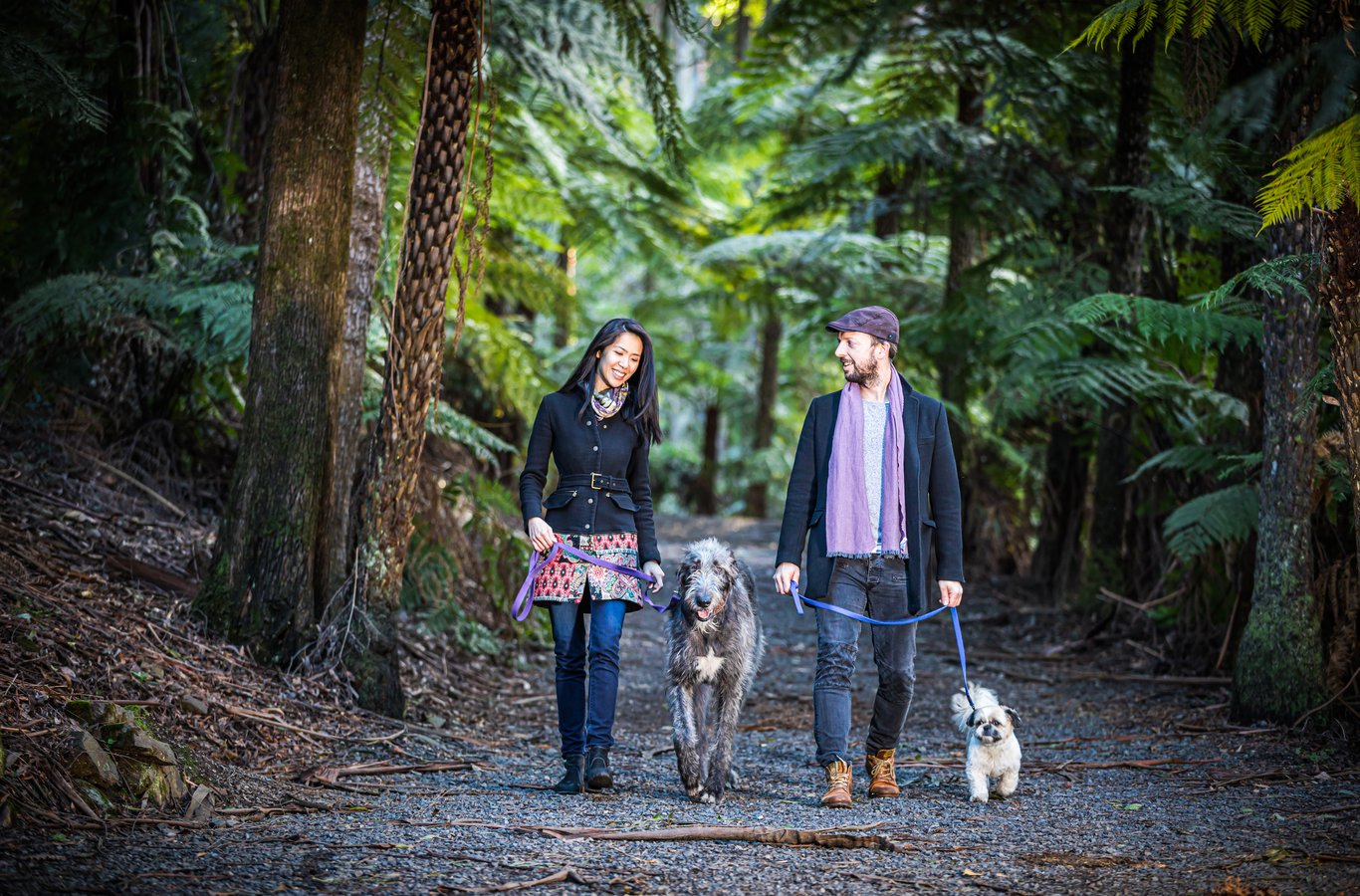 Couple walking with two dogs through forest path; gorgeous atmospheric dappled light, natural happy expressions