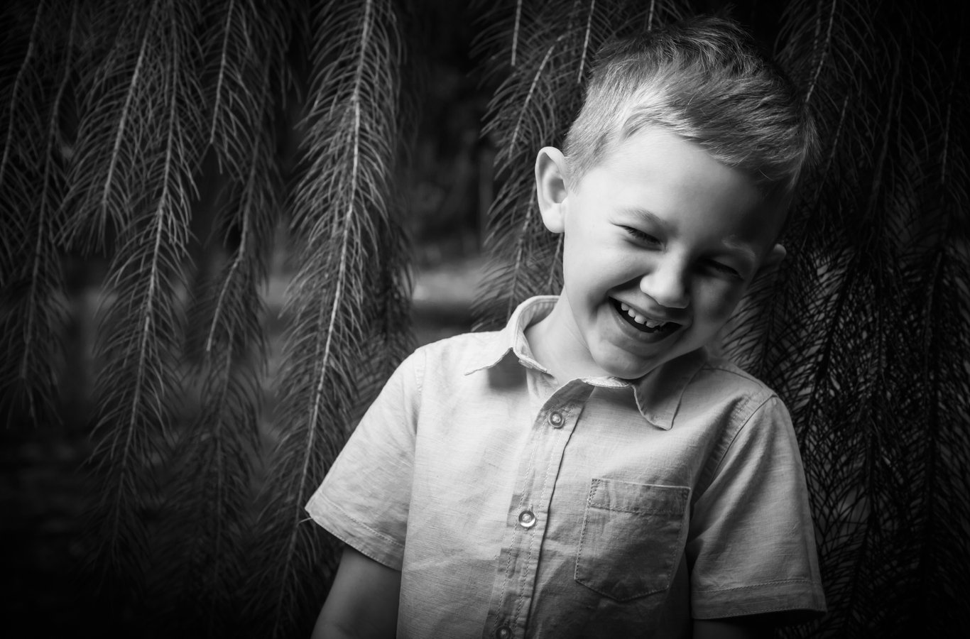 Child portrait against weeping willow fronds with genuine warm expression